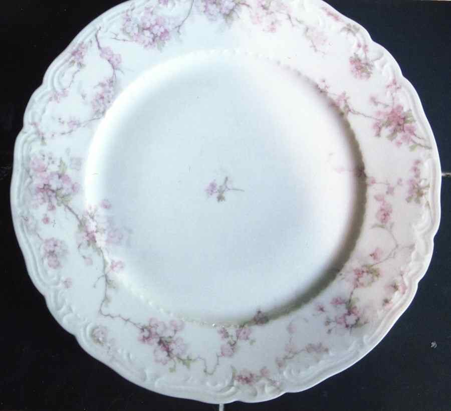 Schleiger 248-18 Dinner Plate by Haviland-1