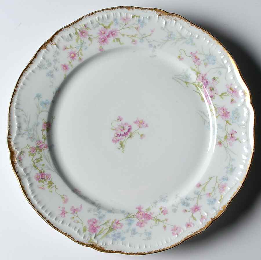 H3834 (Gold Trim) Dinner Plate by Haviland-1