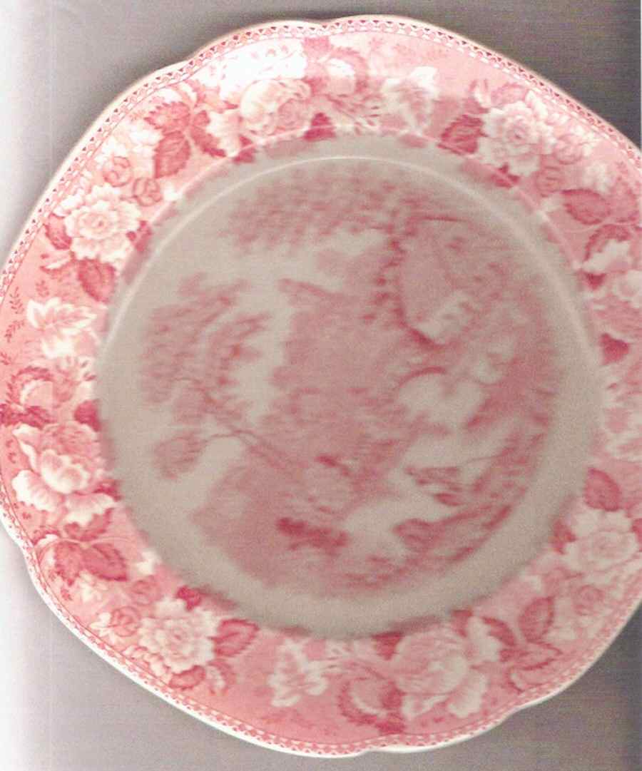 Old English Dinner Plate by Sampson Hancock & Sons-1