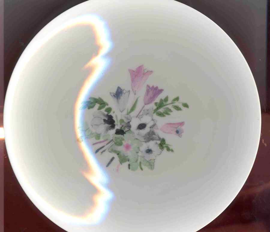H4513 Dinner Plate by Haviland-1