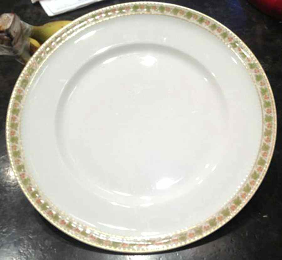 H4296 Dinner Plate by Haviland-1
