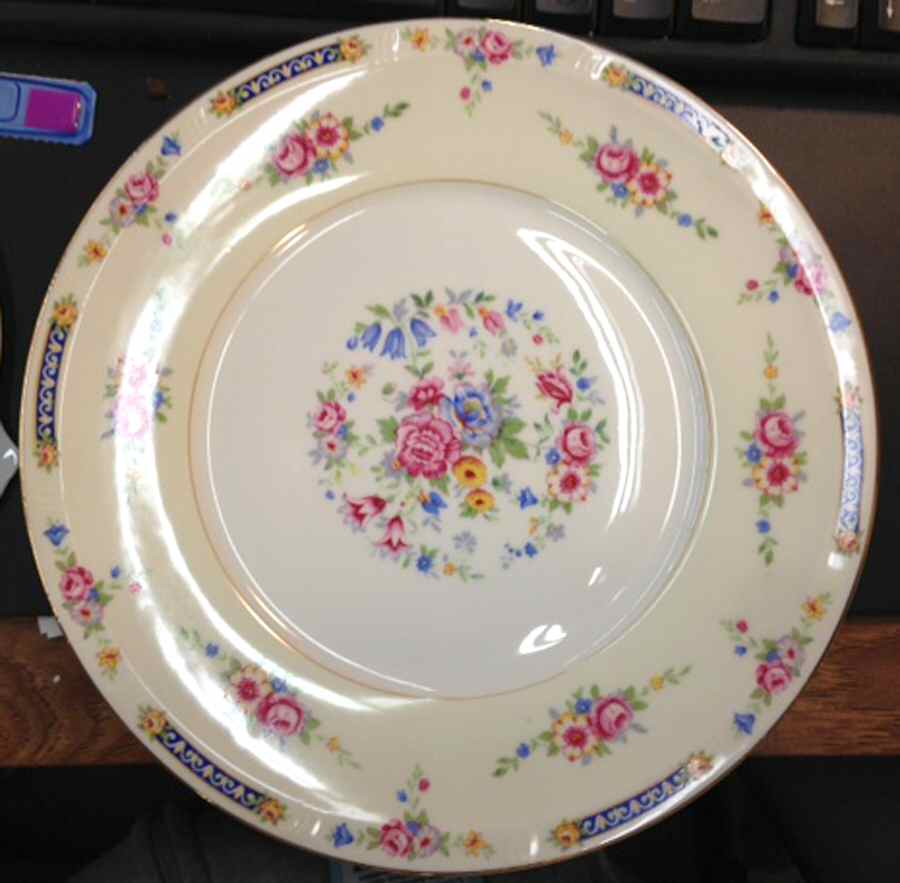 HCZ183 Dinner Plate by Haas-Czjzek Coronado-1