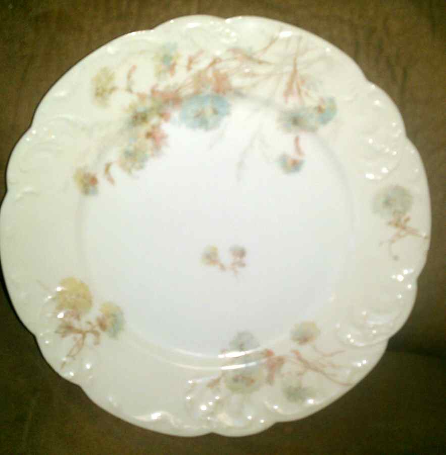 Schleiger 664-9 Salad Plate by Haviland-1