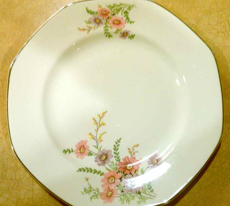 HLC4002 Dinner Plate by Homer Laughlin -1