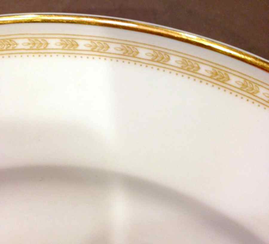 HUT3305 Dinner Plate by Hutschenreuther-1