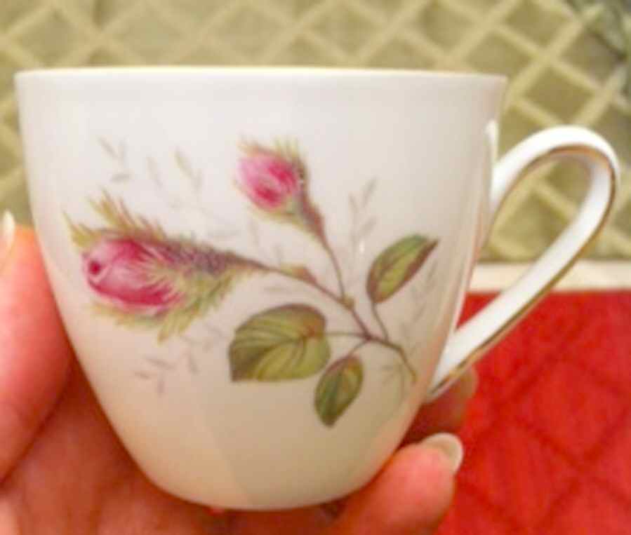 HUT1472 (Gold Trim) Flat Cup by Hutschenreuther-1