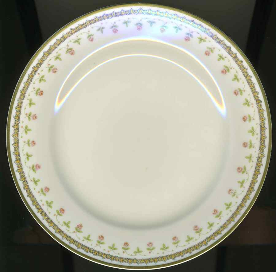 H4521 Dinner Plate by Haviland-1