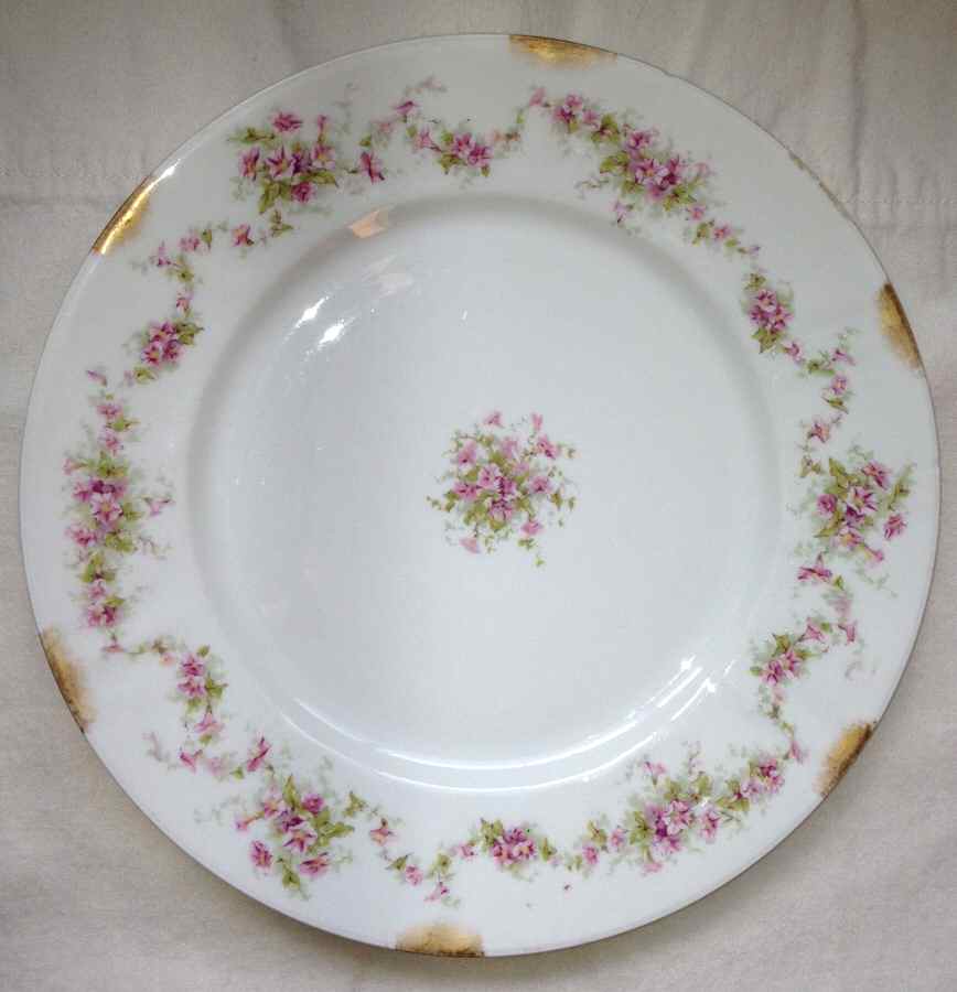 Schleiger 341-11 Dinner Plate by Haviland-1