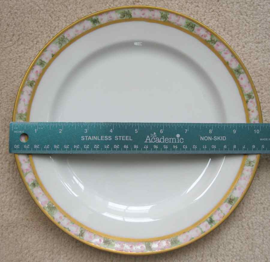 H4527 Dinner Plate by Haviland-1