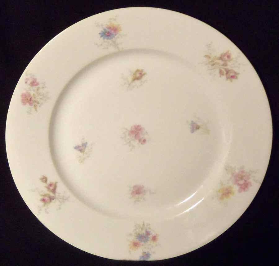 H4330 Dinner Plate by Haviland-1