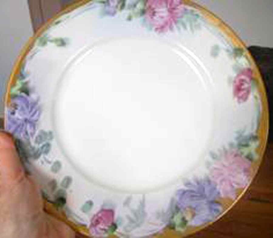 HUT3310 Dinner Plate by Hutschenreuther-1