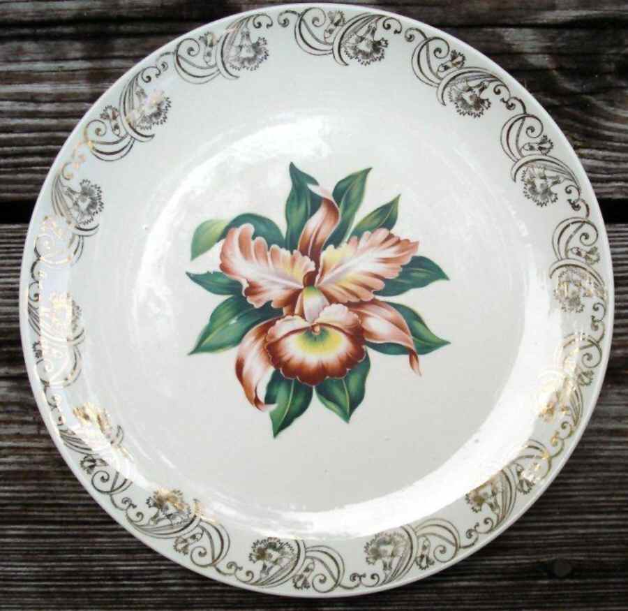 HLC4011 Dinner Plate by Homer Laughlin -1