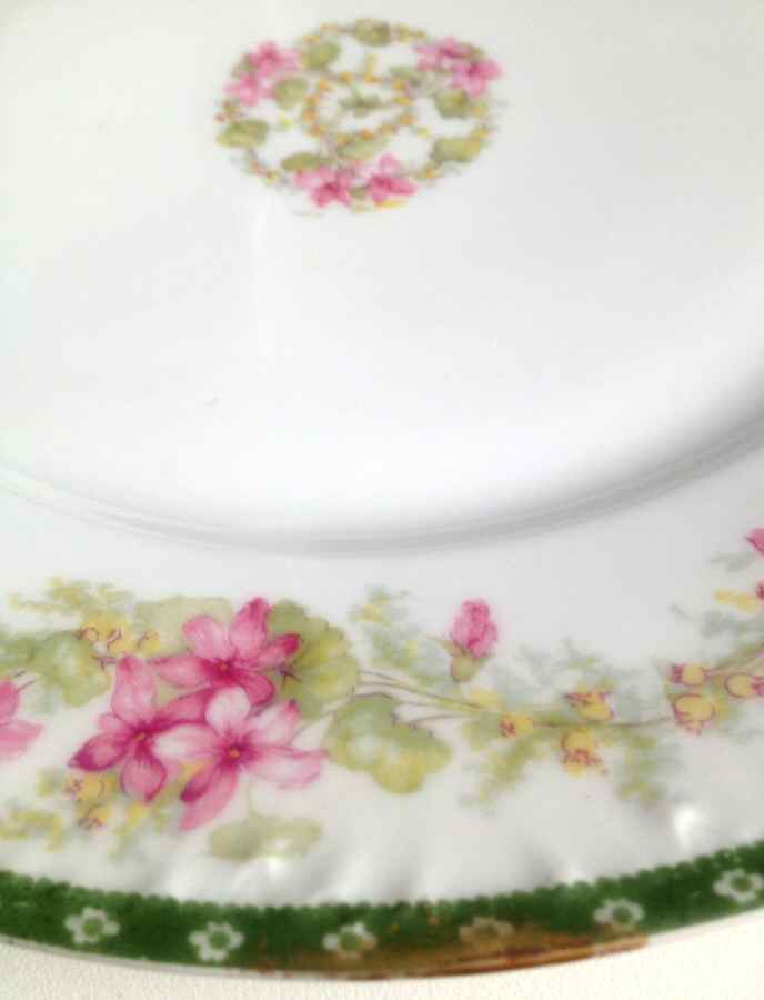 H4542 Dinner Plate by Haviland-1