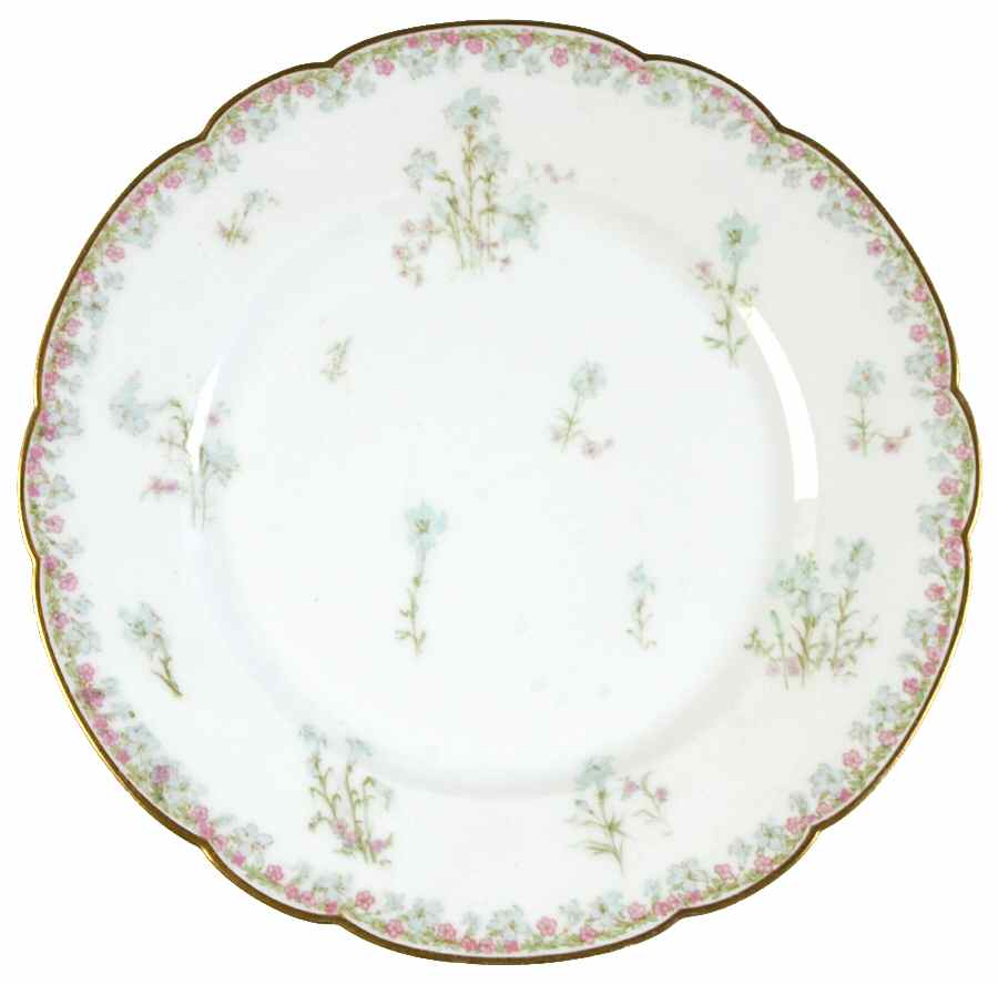Schleiger 229-1 Dinner Plate by Haviland-1