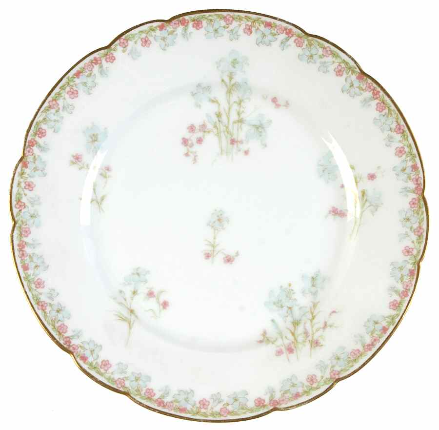 Schleiger 229-1 Salad Plate by Haviland-1