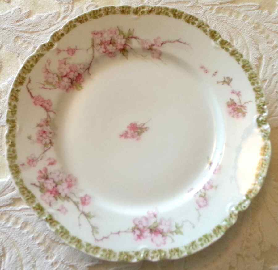 Schleiger 248-19 Salad Plate by Haviland-1
