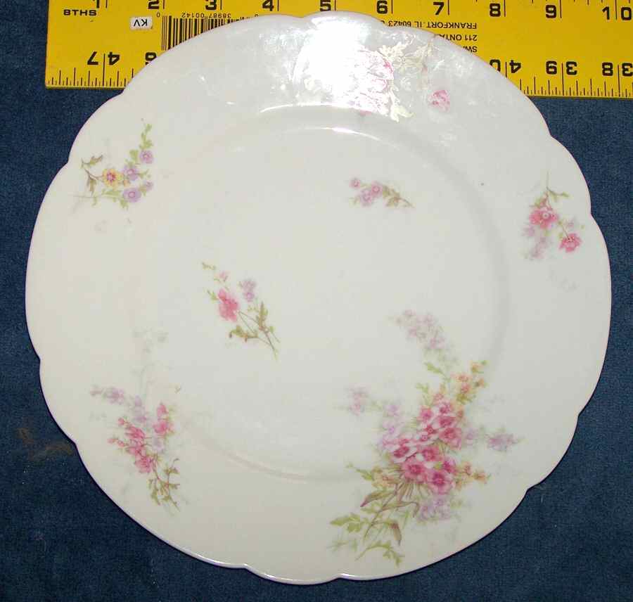 H4547 Dinner Plate by Haviland-1