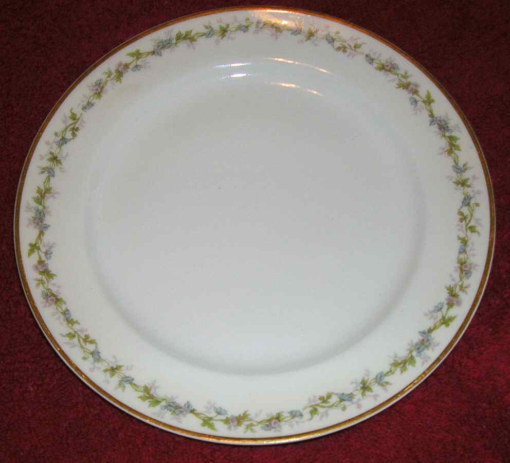 H4548 Dinner Plate by Haviland-1