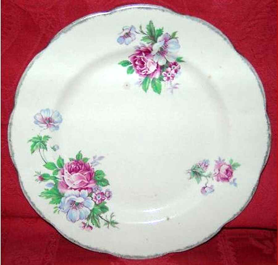 Royal Braemar Dinner Plate by Wm Hulme-1