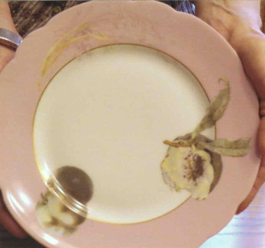 H4559 Luncheon Plate by Haviland-1