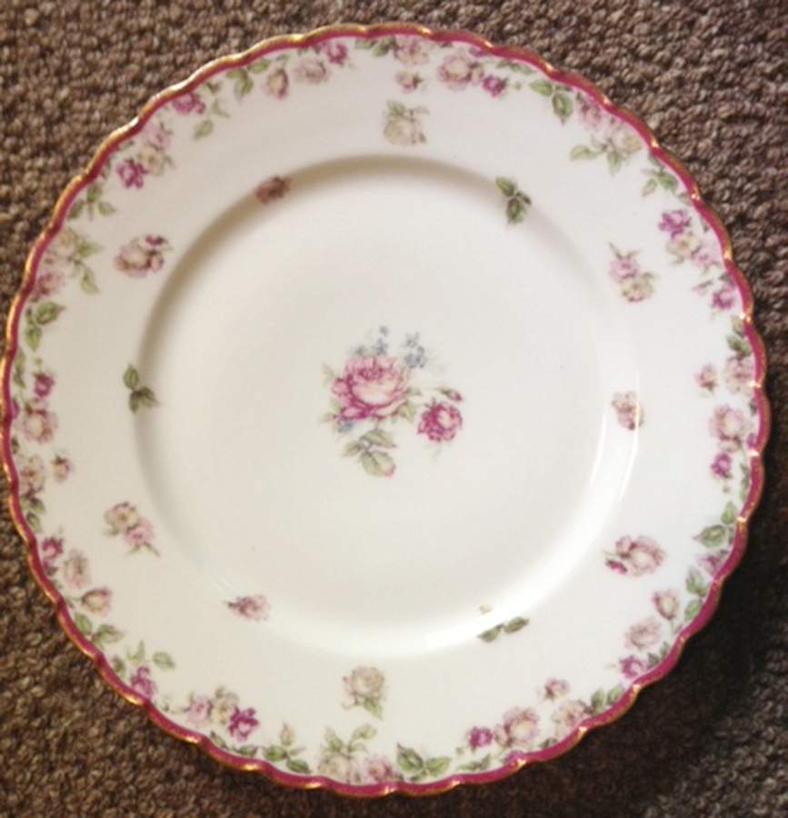 H4304 Dinner Plate by Haviland-1