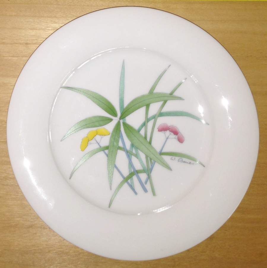 HUT2328 Salad Plate by Hutschenreuther-1