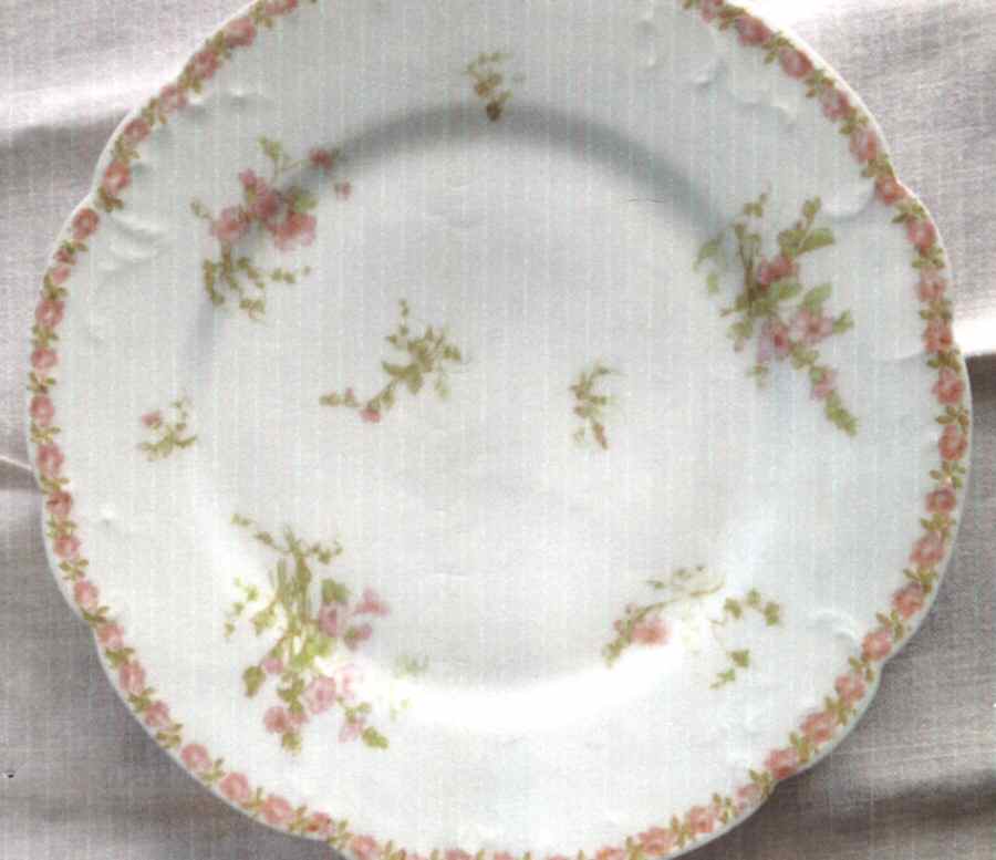 Schleiger 451-3 Dinner Plate by Haviland-1