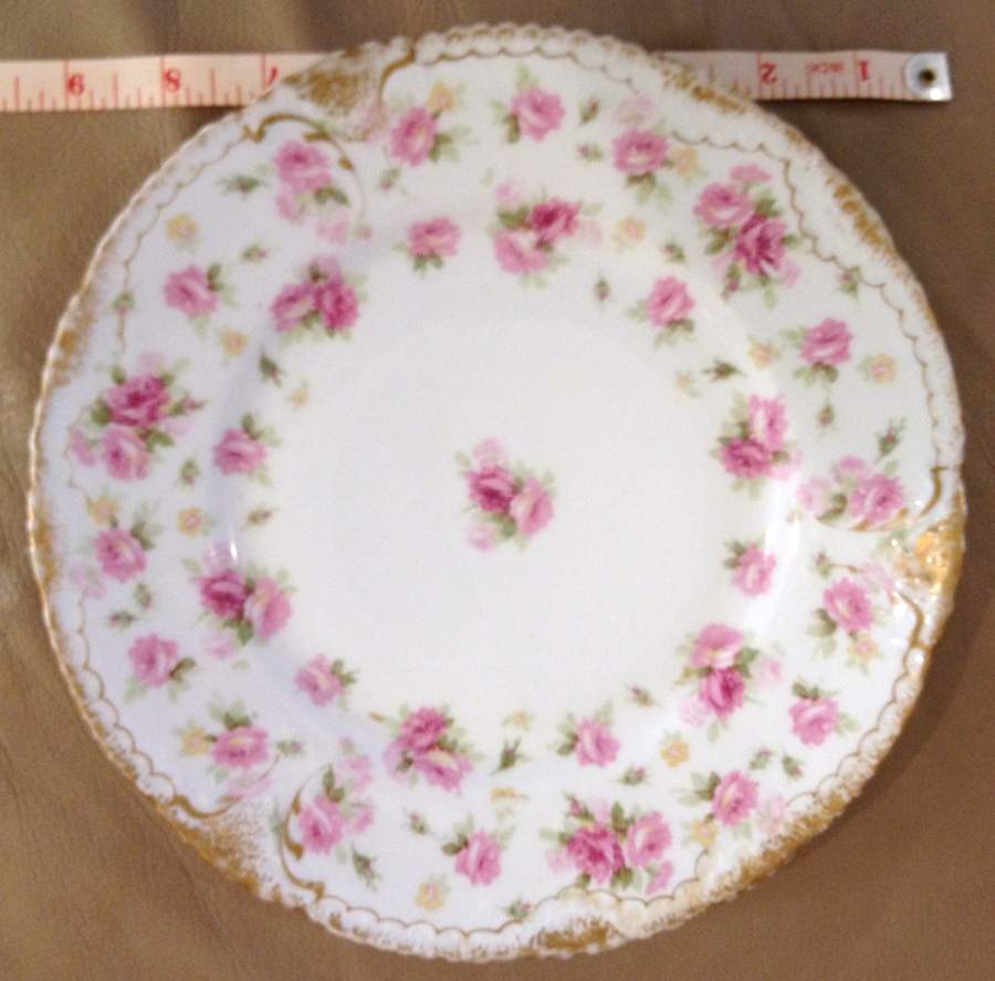 Schleiger 1060-3 Dinner Plate by Haviland-1