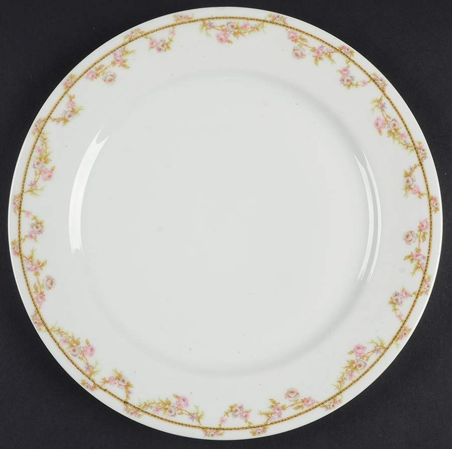 H4578 Dinner Plate by Haviland-1