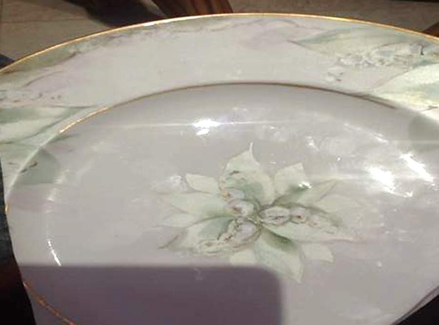 HUT2204 Dinner Plate by Hutschenreuther-1