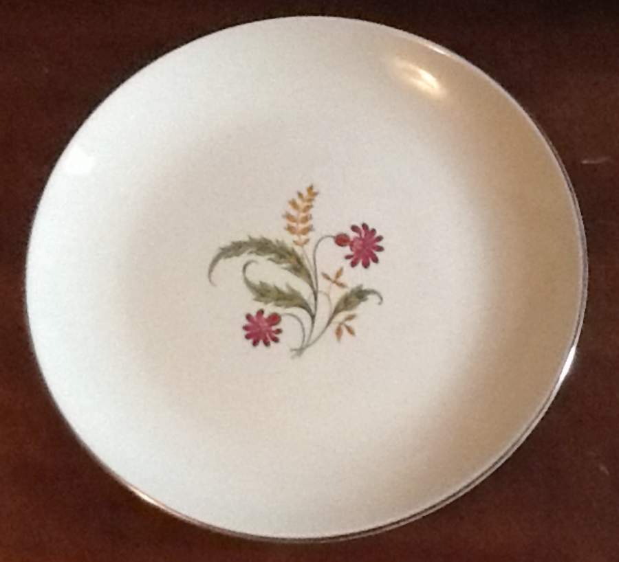 Ry388 Dinner Plate by Homer Laughlin -1