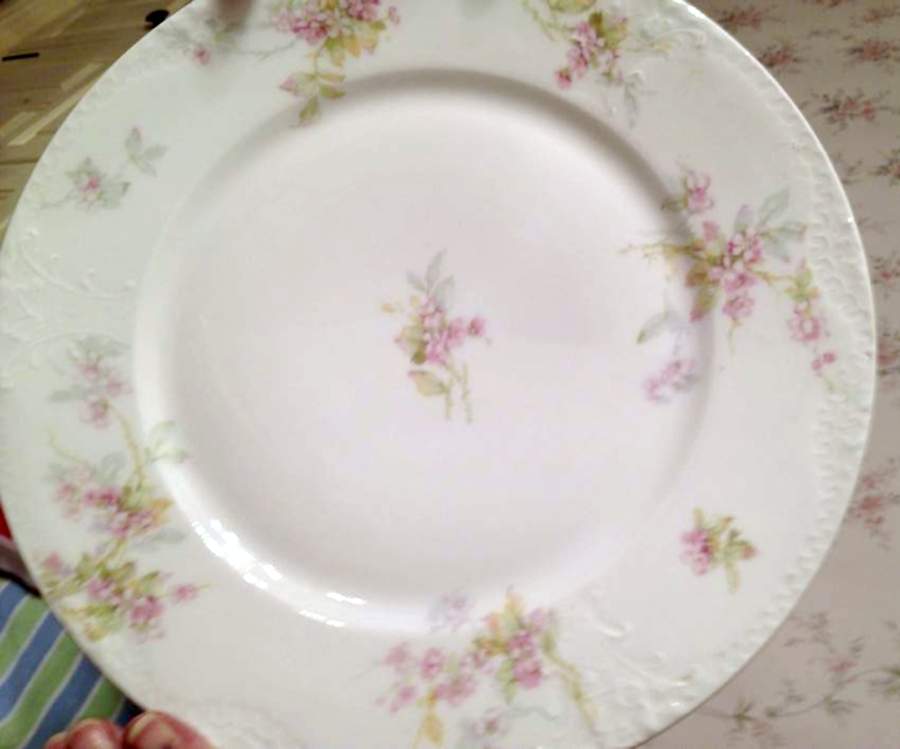 H4310 Dinner Plate by Haviland-1