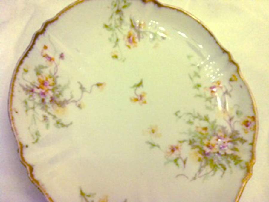 Schleiger 147-18 Dinner Plate by Haviland-1