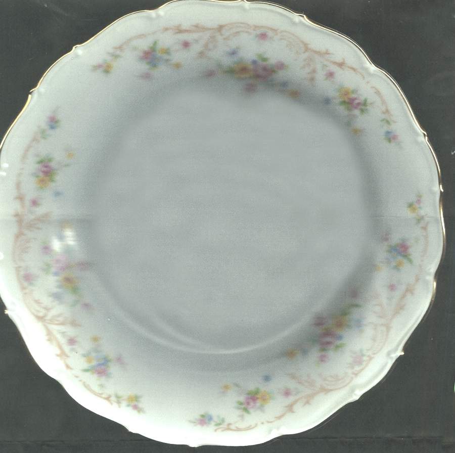 HCZ195 Salad Plate by Haas-Czjzek Coronado-1