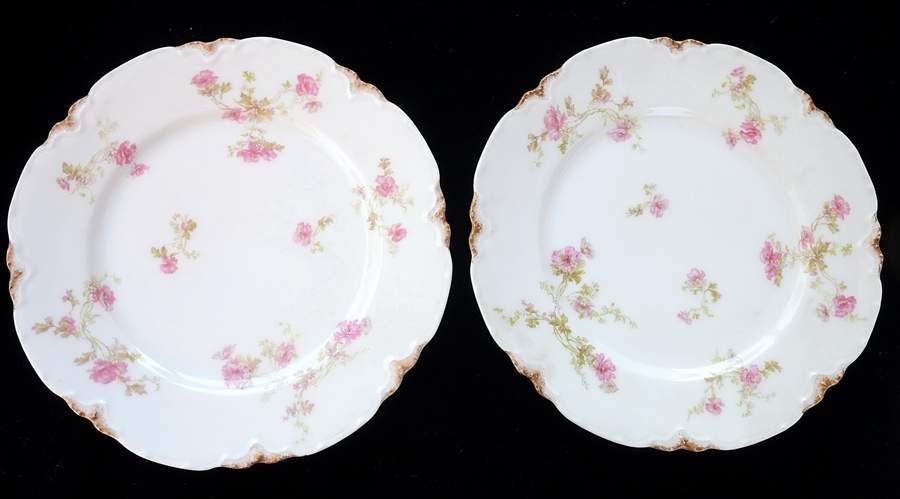 Schleiger 90-1 Dinner Plate by Haviland-1