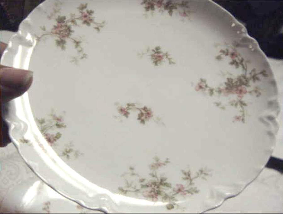 Schleiger 1164-2 Coupe Salad Plate by Haviland-1