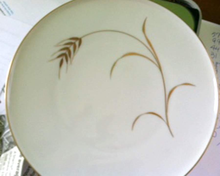 HC1344 Dinner Plate by Heinrich - H&C-1