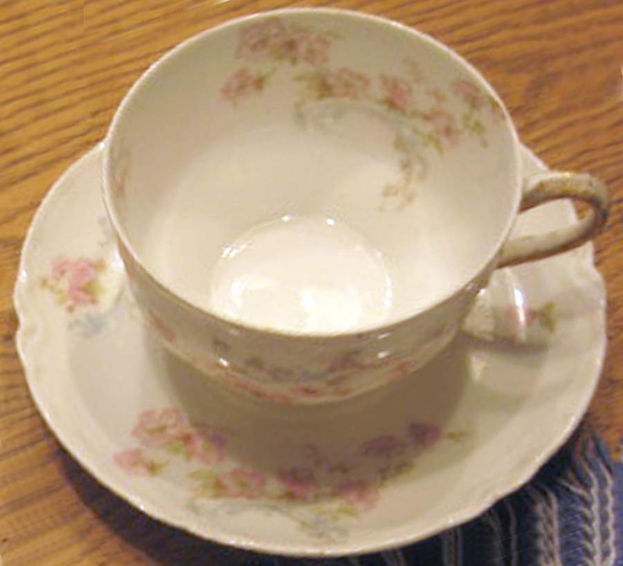 Schleiger 63-9 Flat Cup & Saucer Set by Haviland-1