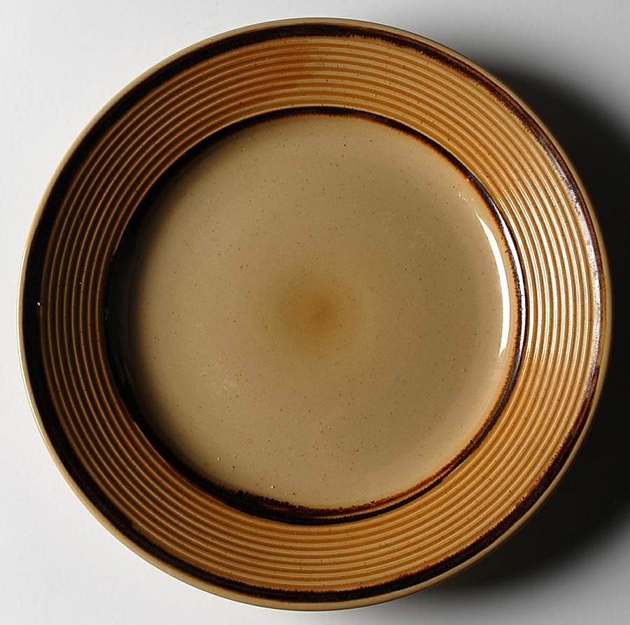 HTS32 Dinner Plate by Home Trends-1
