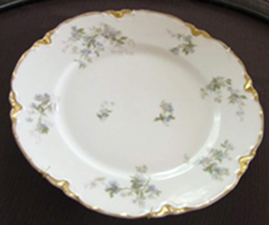 H4590 Dinner Plate by Haviland-1