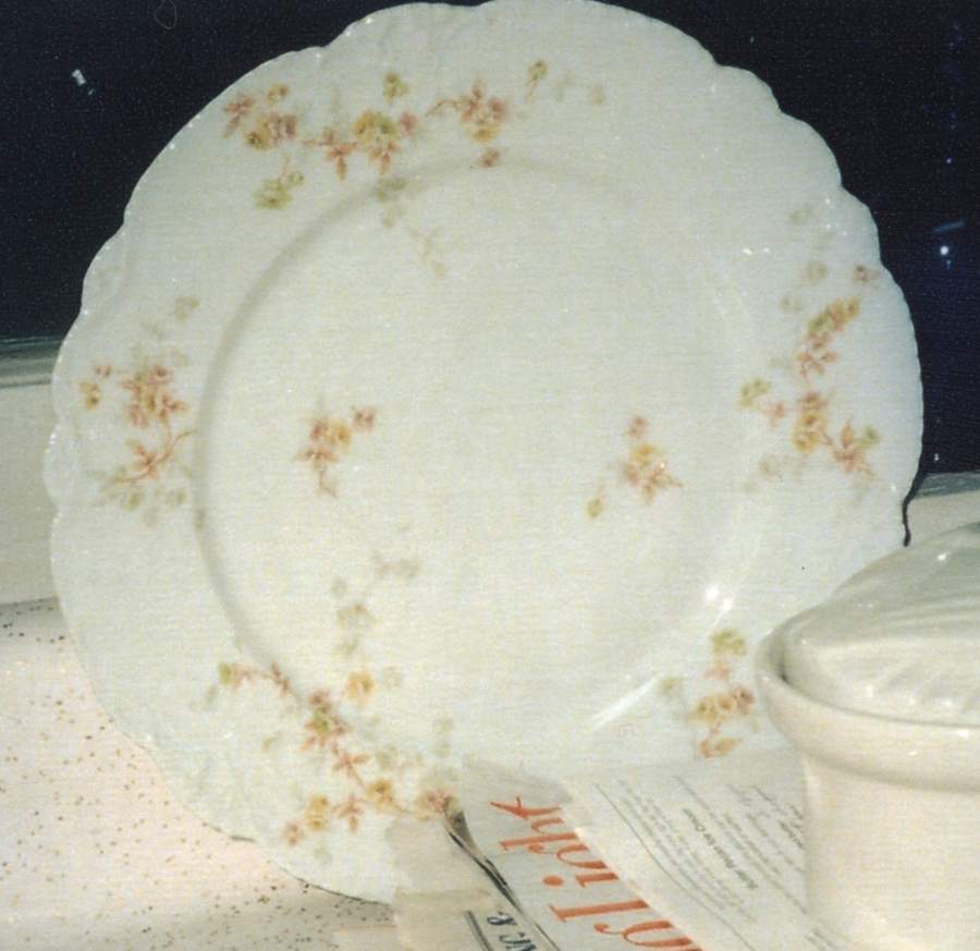Schleiger 339-23 Dinner Plate by Haviland-1
