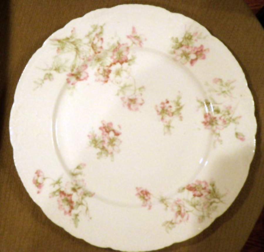 H4595 Dinner Plate by Haviland-1