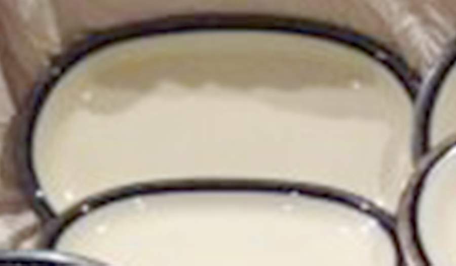24116 14" Oval Serving Platter by Hutschenreuther-1