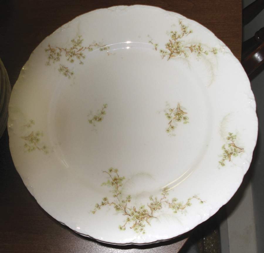 H4689 Dinner Plate by Haviland-1