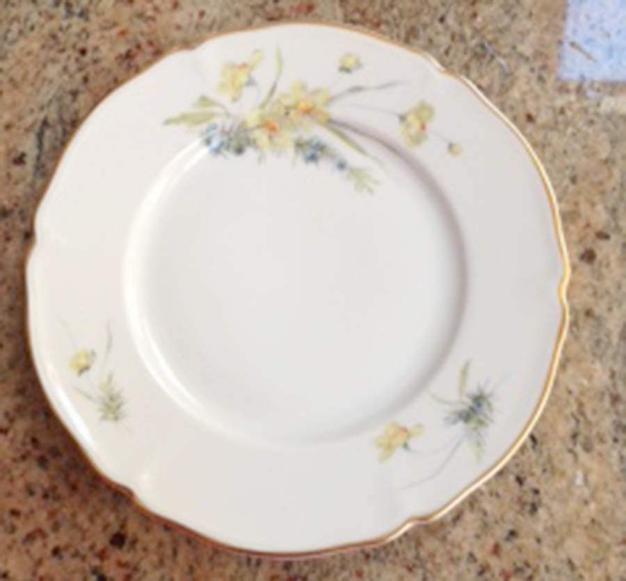 7859 Dinner Plate by Hutschenreuther-1