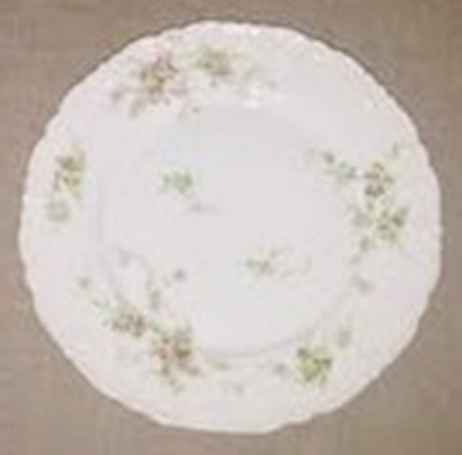 Schleiger 837-18 Dinner Plate by Haviland-1