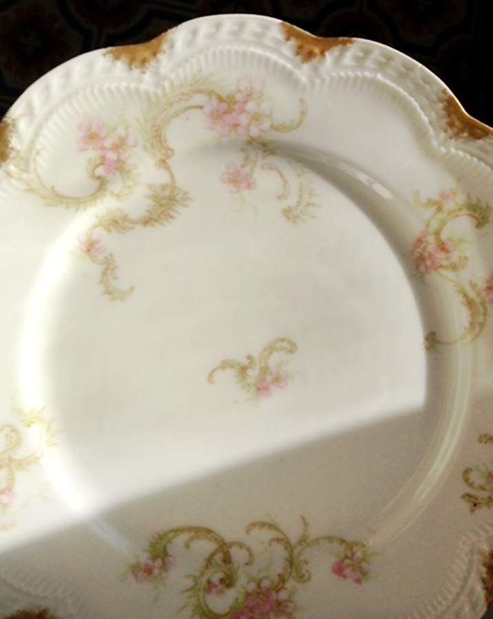 Schleiger 910-4 Dinner Plate by Haviland-1