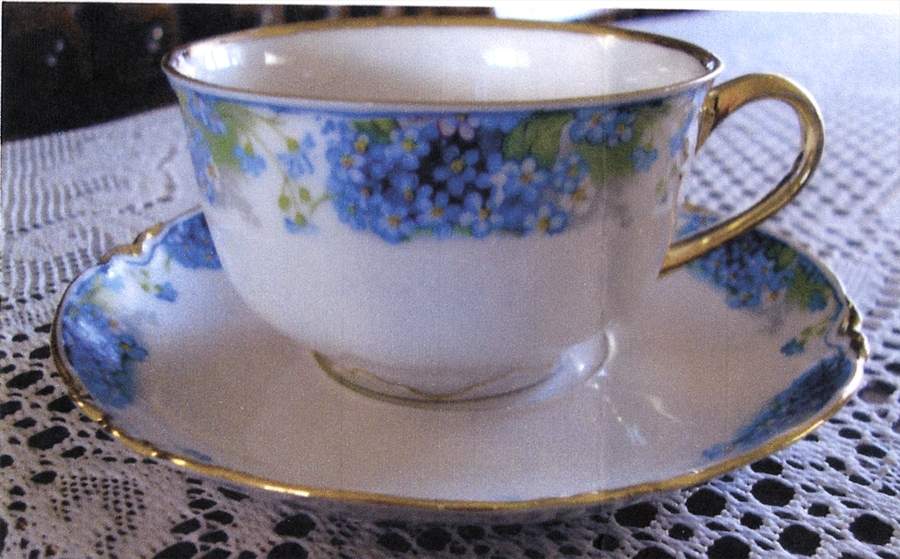 HUT2356 Flat Cup & Saucer Set by Hutschenreuther-1