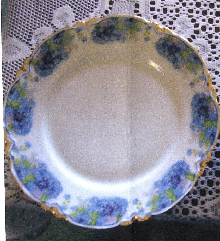 HUT2356 Dinner Plate by Hutschenreuther-1