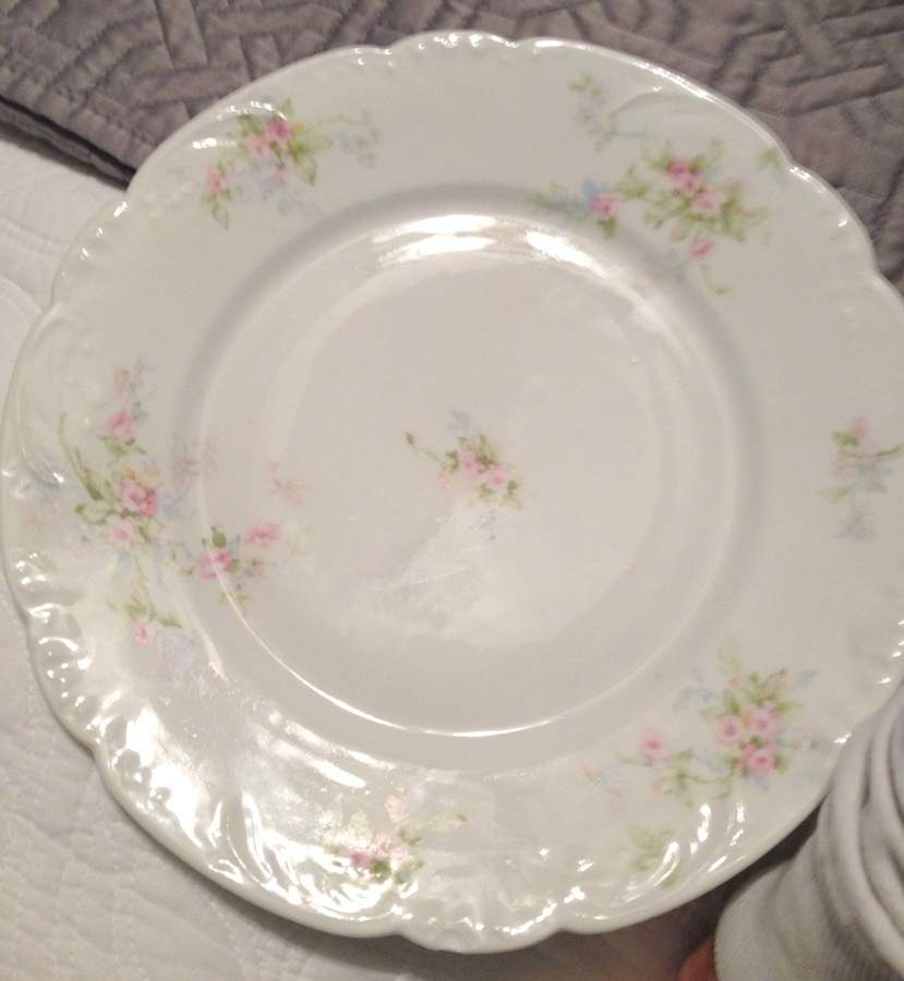 Schleiger 310-8 Dinner Plate by Haviland-1